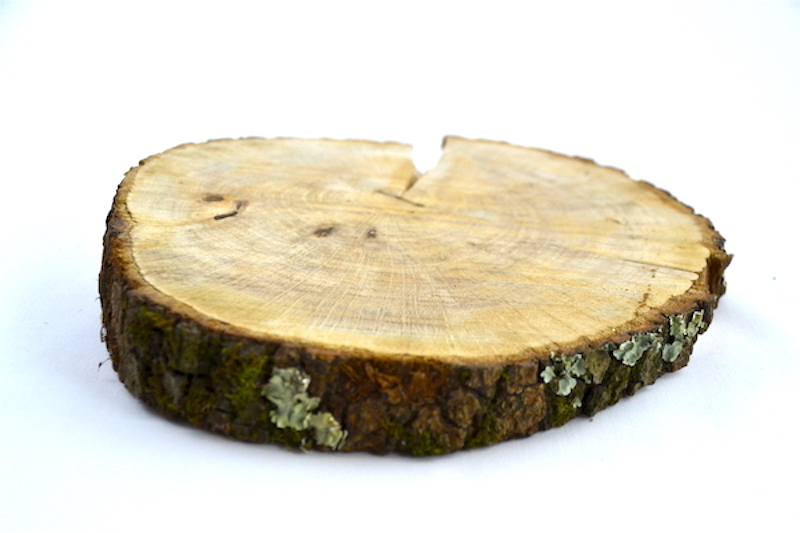 Rodaja decorativa encina – Woodmoments